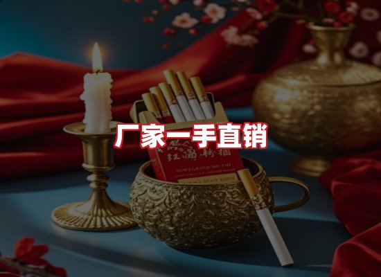专业团队